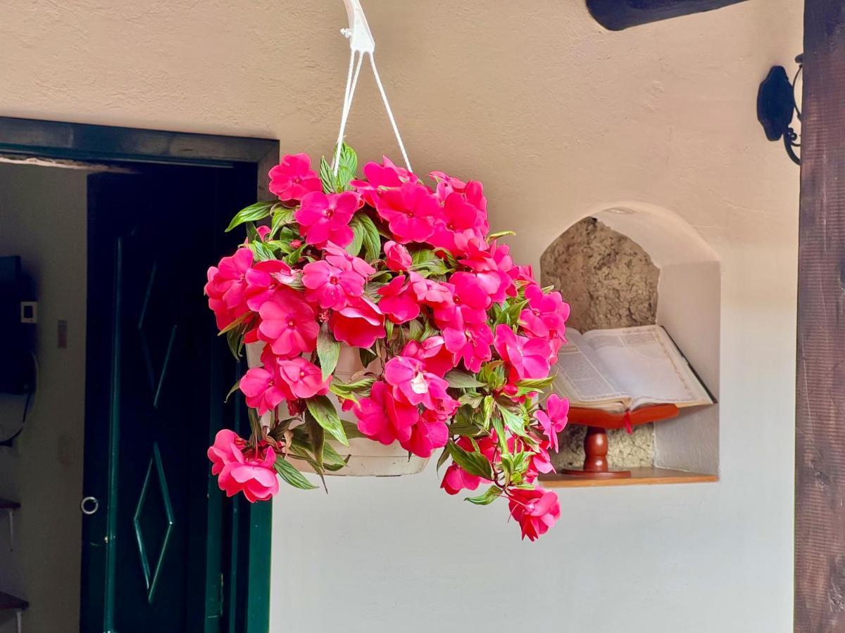 Hotel San Gabriel El Cocuy Zewnętrze zdjęcie